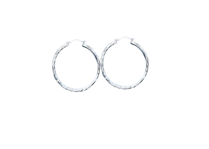 Rhodium Plated | Fashion Earrings